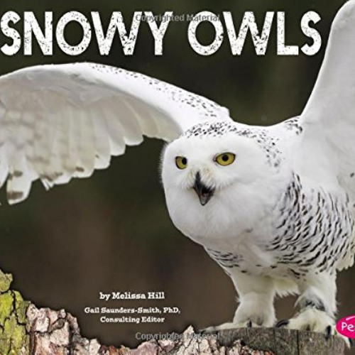 READ EBOOK 📪 Snowy Owls by  Melissa Ann Hill &  Gail Saunders-Smith [KINDLE PDF EBOO