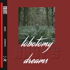 LOBOTOMY ANDY'S DREAMS
