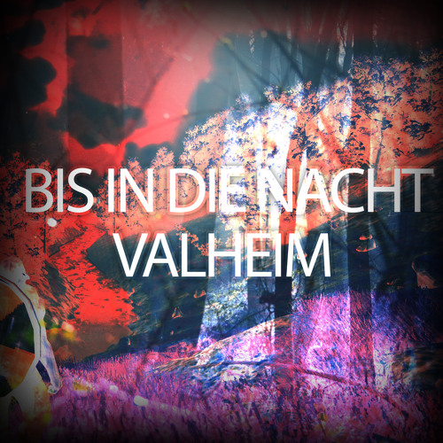 Bis in die Nacht - Valheim