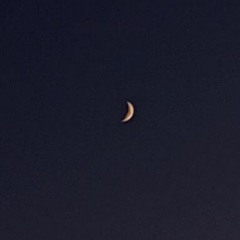 a girl with a deadbeat dad ft. christ kobain (p. klimlords)