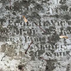 revealed etchings
