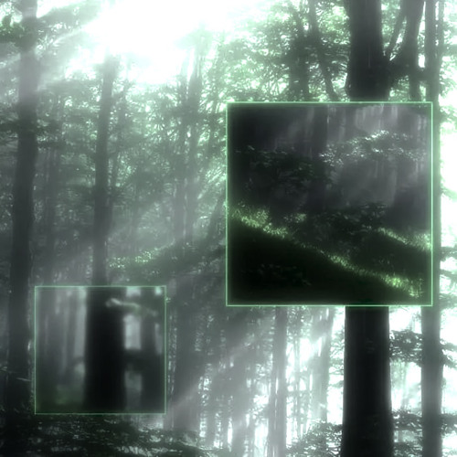 Salvia Palth - i was all over her(sped up + rain)