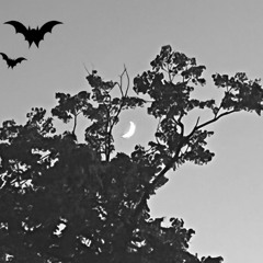 Tomorrow.mp3 (prod. Kanbuu)