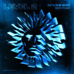 Level 2 - Bite The Bone [V Recordings]