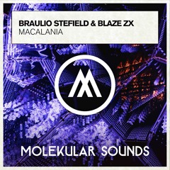 Braulio Stefield & Blaze ZX - Macalania