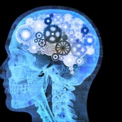 Eat your brain