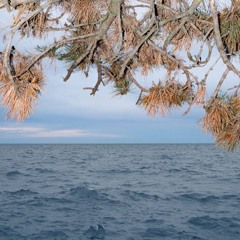 'ethereal' alternative glitch rnb instrumental