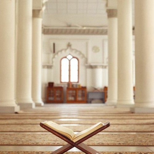 سورة لقمان _ترتيل_الشيخ محمود عبد الحكم