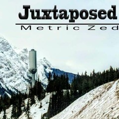 Juxtaposed - Metric Zed