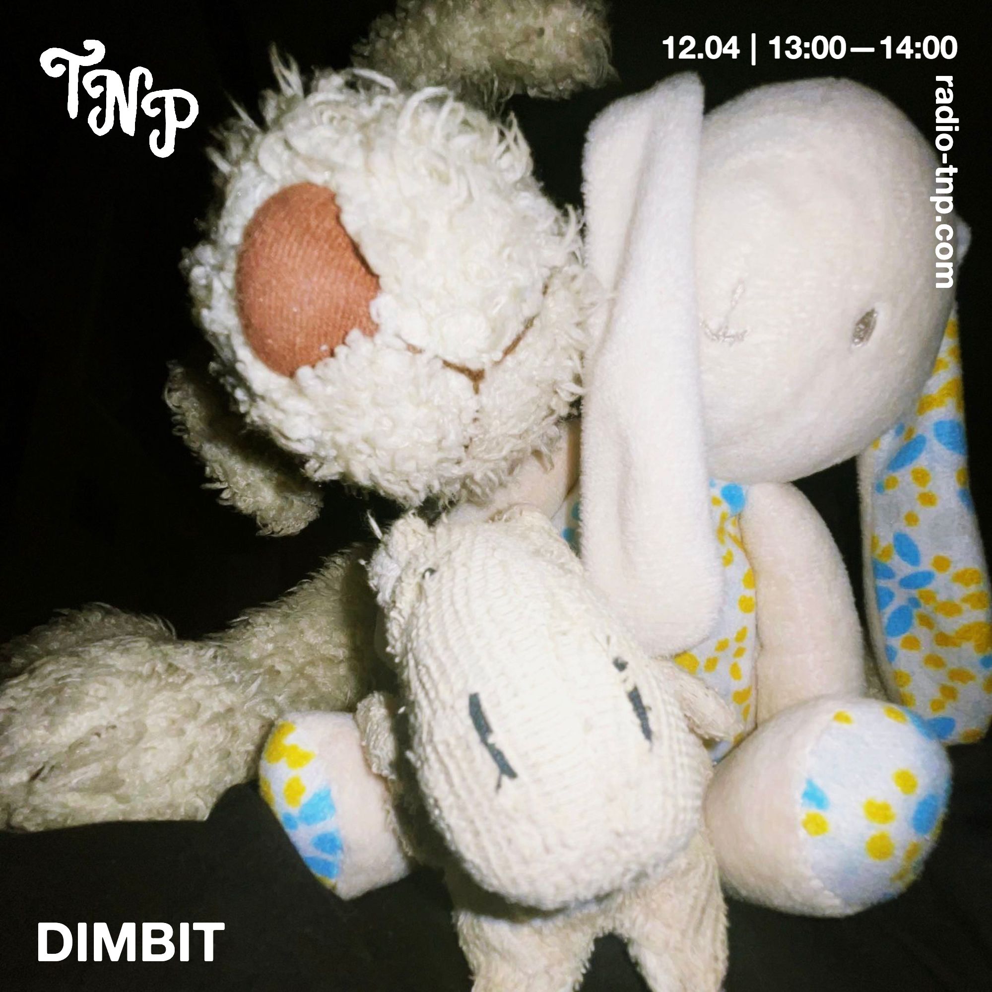 dimbit
