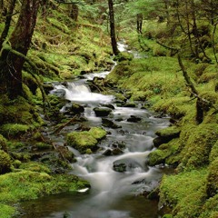 Better Off Alone (Remix) Shuffle Dance