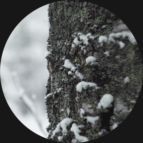 CODECAST XY - ambionic - Entheogenic Exploration