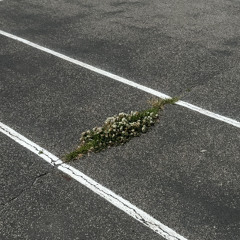 120725 Farabi - Our Time - Vol 1