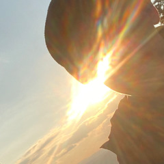 Think About You