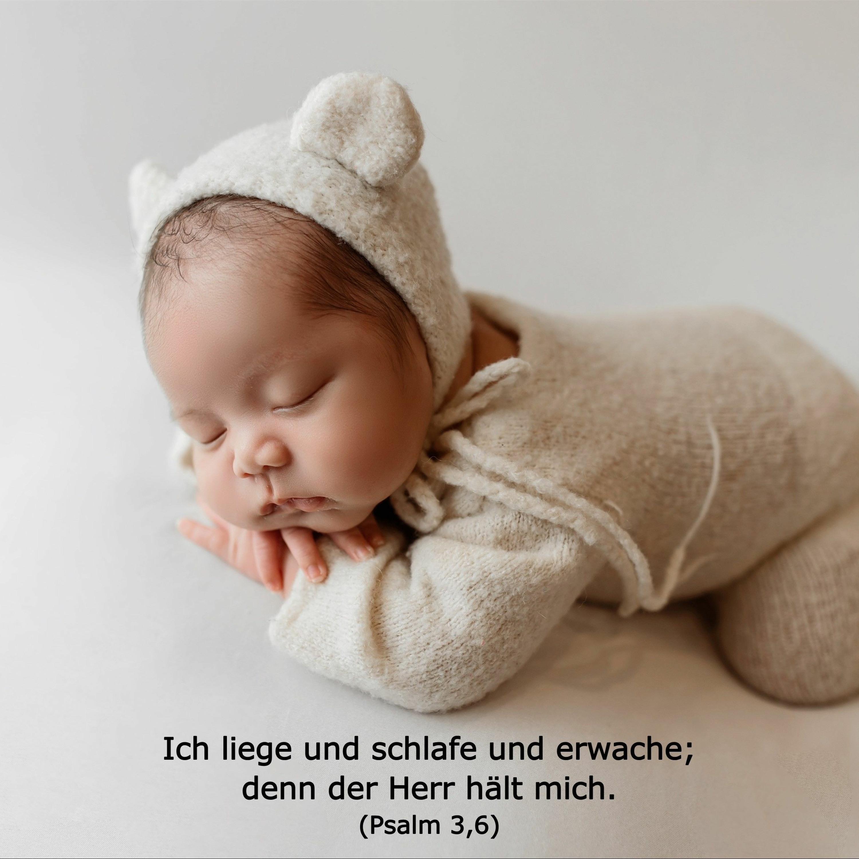 In einem Jahr durch die Bibel