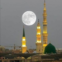 الفصل العاشر من بردة البوصيري - عبد الرحمن حسين