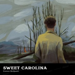 Sweet Carolina