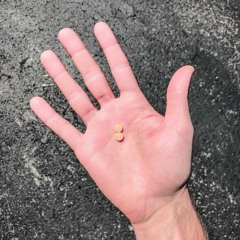 chemical signs (beat)