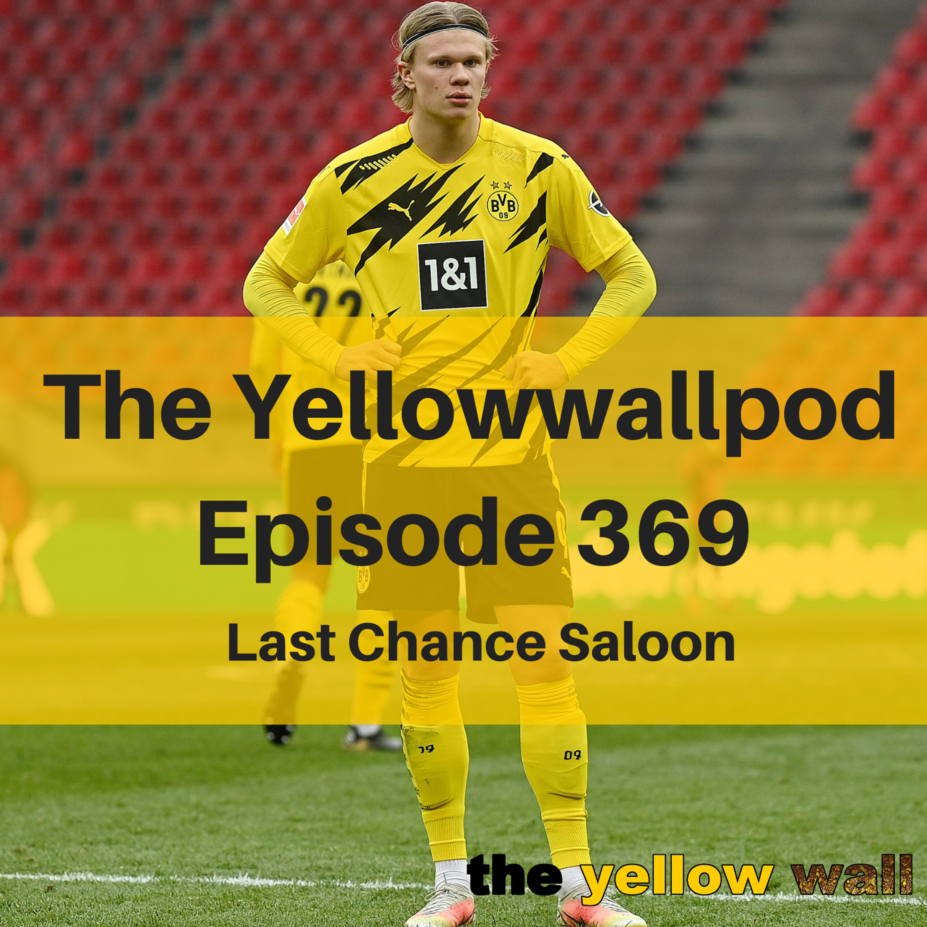Yellowwallpod