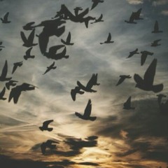 أَفَرَأَيْتَ الَّذِي تَوَلَّىٰ | ناصر العصفور