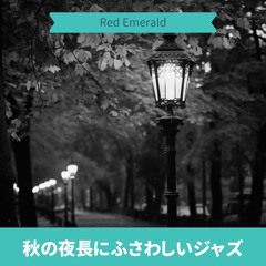 Tranquil Night Rhapsody