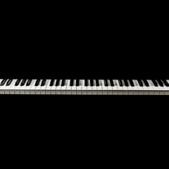 Erick Morillo feat. Shawnee Taylor - Live your life (Domino DB piano edit)