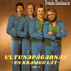 Bugg på SLU