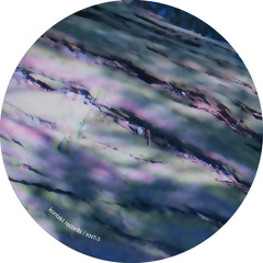 Moonlite Shadow (Remastered)