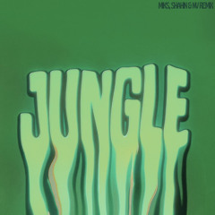 Drake - Jungle (Shahin, Miks, NV & Smeraldo remix)