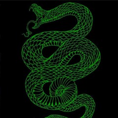 777. Green Fanged Viper (egobreak & gorskiyy)