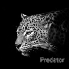 Predator | betterlate & GrevusAnjl