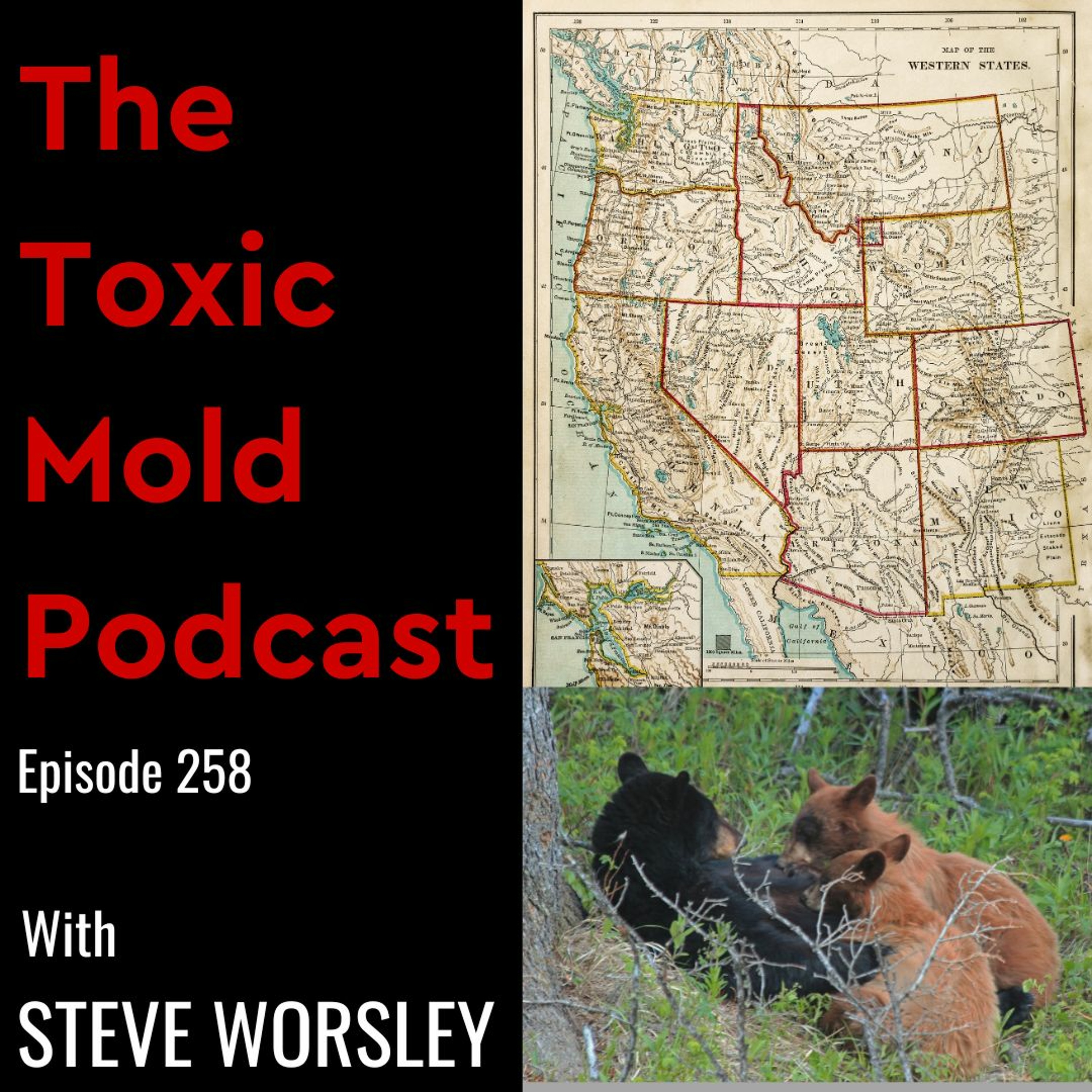 EP 258: Toxic Mold in the Western U.S.: Utah, Wyoming, Idaho and Arizona