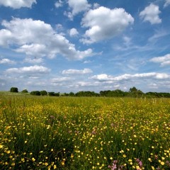 #0263 [啓志(kOTOnoha)×Rod Wave Type Beat]