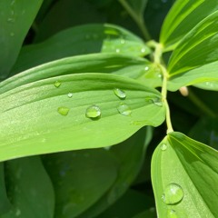 윤하, 기다리다 (male cover)