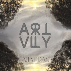 Anatidae - Art valley - New year 2024 set