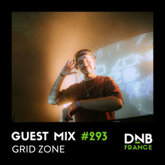 Guest Mix #293 - Grid Zone
