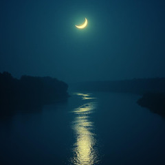 Moonlight Serenade