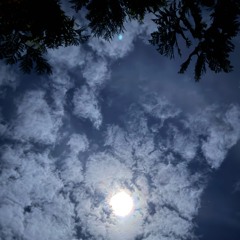 In meinem Leben-Nenacover dieHansen.m4a