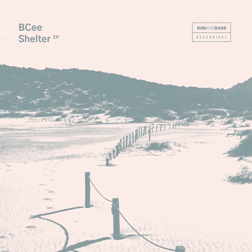 BCee - Shelter