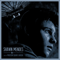 Stitches (Live)