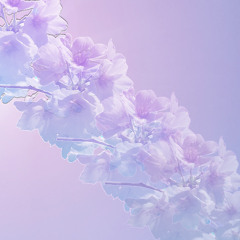 🩶☪️Another Life🪻vol2.5 (violet)