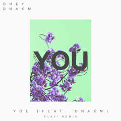 You (feat. DNAKM) [Flay! Remix]