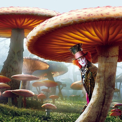 Stay in Wonderland  - Pig & Dan, Sutter Cane, Gary Beck, Dominik Schwarz & more 129 bpm Techno mix