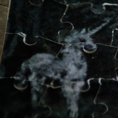 there are no means for escaping this world/ there is no hope for escape from this dream