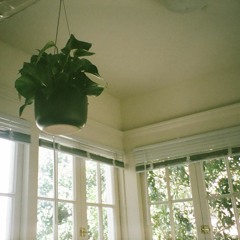 Sunroom Sessions Vol. 1