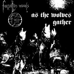 Forgotten Woods – Winter