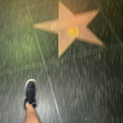 sunset + vine apartments