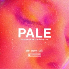 [FREE] B Young ft Wizkid & Omah Lay Type Beat "Pale" | Afrobeat Instrumental 2023