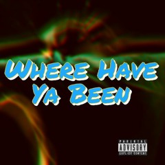 WHERE HAVE YA BEEN (DJ SKILLZ DUBPLATE SPECIAL) DWN N DRTY PRODUCTIONS