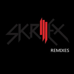 Lady Gaga - Died This Way (Skrillex Remix) (Extended)